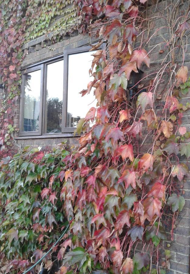 Woodpeckers Cottage B&B Pett Exterior foto